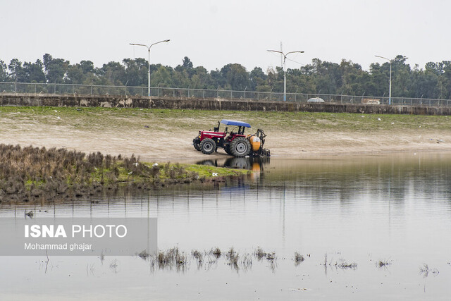 عکس تزئینی است هشدار و آمادهباش مدیریت بحران تهران نسبت به اسکان در حاشیه رودها و کوهنوردی