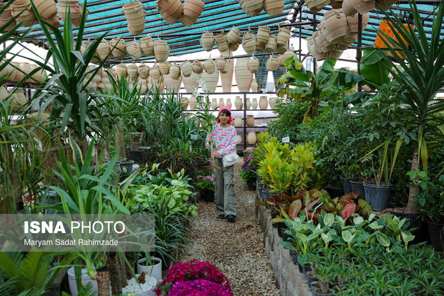 عکس تزئینی است خودکفایی در تولید و تکثیر انواع گل و گیاه در شهر ملارد