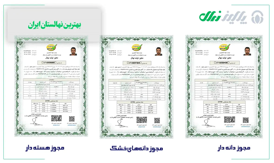 رکورد ۵۰ کیلو باردهی از یک درخت بادام