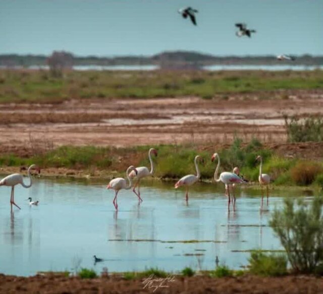 همقدم با نوروز در ورامین سفر کنید