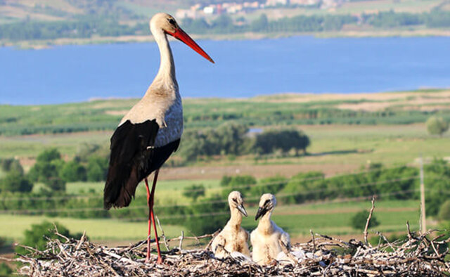حفاظت از آثار تاریخی کردستان با همکاری نهادهای انتظامی میسر میشود