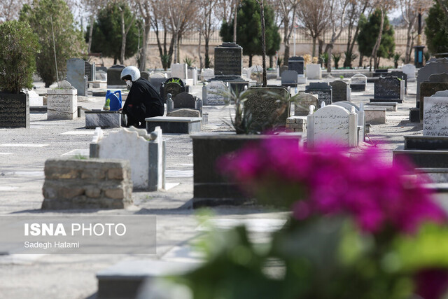 کاشت ۱۲ هزار گل لاله در آرامستانهای مشهد در آستانه بهار ۱۴۰۴ کاشت ۱۲ هزار گل لاله در آرامستانهای مشهد در آستانه بهار ۱۴۰۴