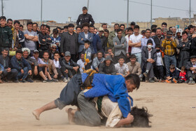 مسابقات کشتی سنتی افغانستانی های مقیم ایران