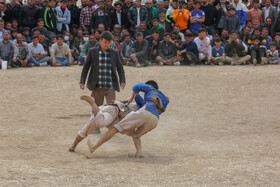 مسابقات کشتی سنتی افغانستانی های مقیم ایران