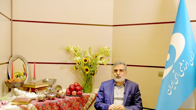 کمالوندی: آژانس دیگر نمیتواند در زمین دشمنان ایران بازی کند