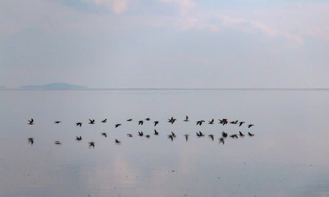 دریاچهای فیروزهای در ارومیه که قرمز میشود