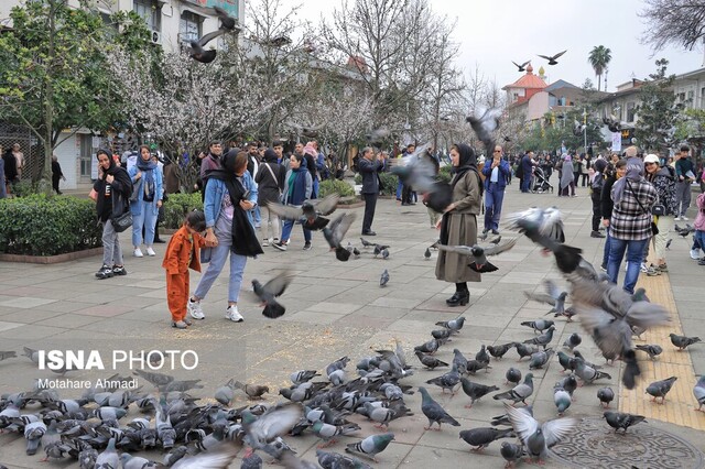 آغاز فاز دوم سنگفرش بازارچه سبزه میدان