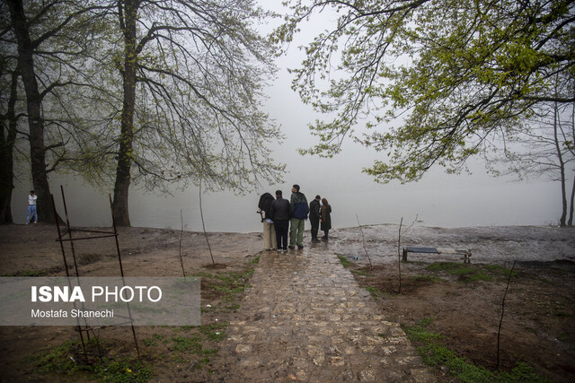 اکوتوریسم؛ راه نجات مازندران از چرخه تخریب اراضی کشاورزی