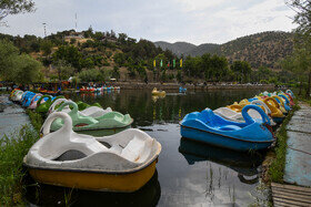 زریبار دریاچه ای در دل جنگل های بلوط