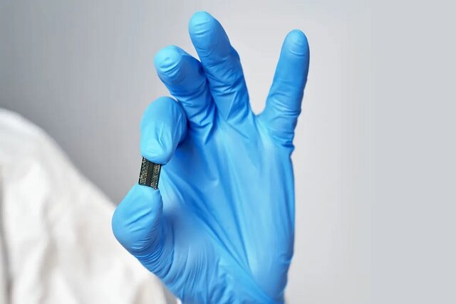 یک تراشه کوچک جای موشهای آزمایشگاهی را میگیرد یک تراشه کوچک جای موشهای آزمایشگاهی را میگیرد