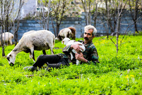 زندگی روستایی در لفور سوادکوه