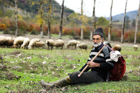 زندگی روستایی در لفور سوادکوه