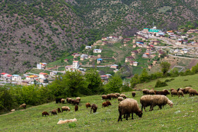 زندگی روستایی در لفور سوادکوه