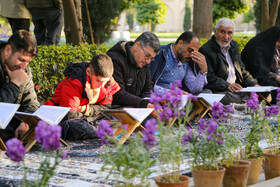 جشن ستاره‌های زمین