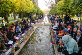 جشن ستاره‌های زمین