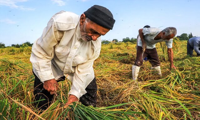 جهش تولید با تامین منابع مالی اتفاق می‌افتد