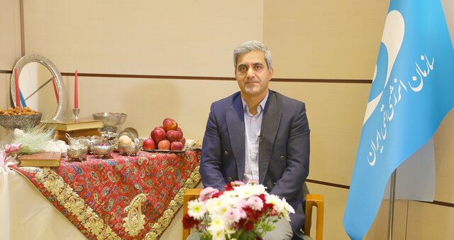 آخرین وضعیت نیروگاه بوشهر از زبان معاون سازمان انرژی اتمی