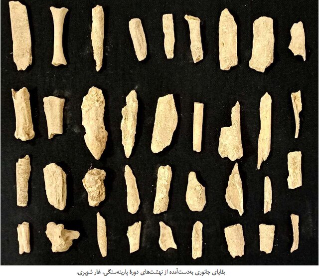 کشفهایی که تاریخ ایران را جابهجا کرد