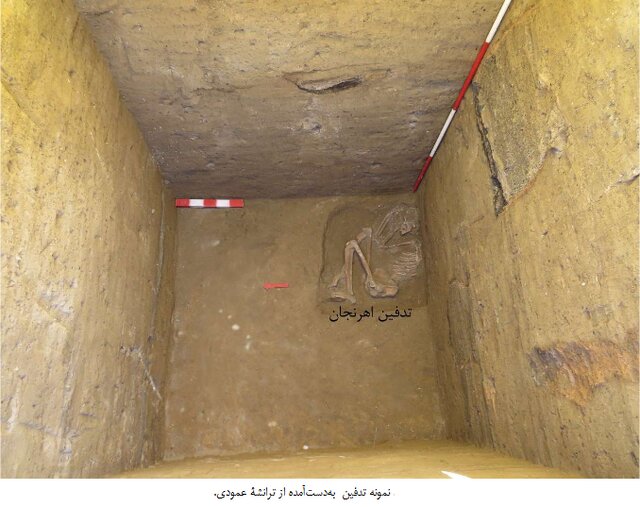 کشفهایی که تاریخ ایران را جابهجا کرد