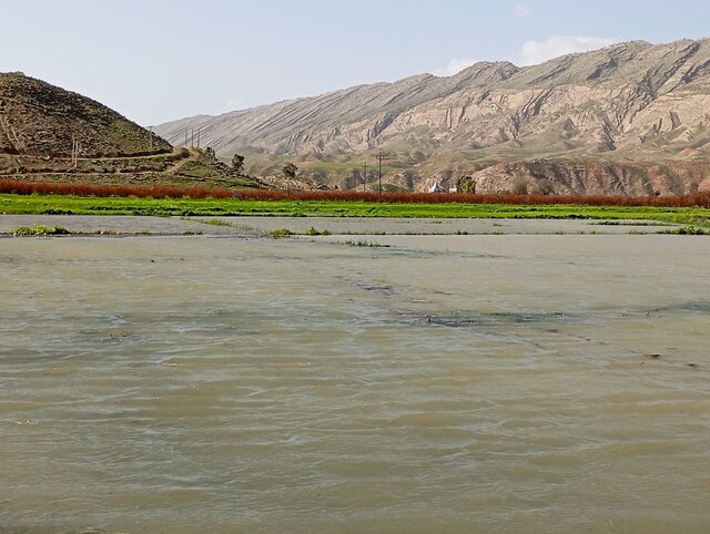 غرق شدن باغات انار «عرب رودبار»