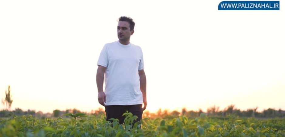 پول سازترین درخت ایران کدام است