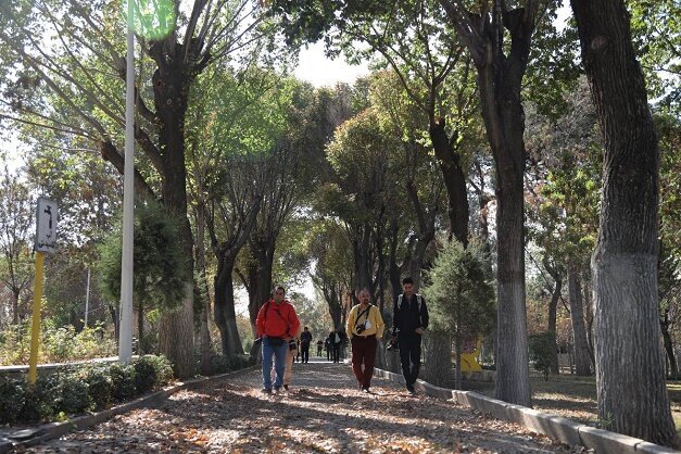 عکس دریافتی از سایت شهر. تداوم نهضت درختکاری در تهران؛ ۲۲ هزار مترمربع به بوستانهای منطقه ۱۷ اضافه میشود