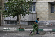وزش تندباد لحظه‌ای در تهران/ ماندگاری هوای گرم طی هفته آینده
