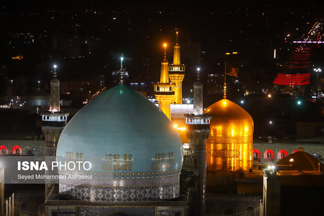 جایگاه امام رضا (ع) در میان اهل سنت/ بررسی برخی آثار امام رضا (ع)