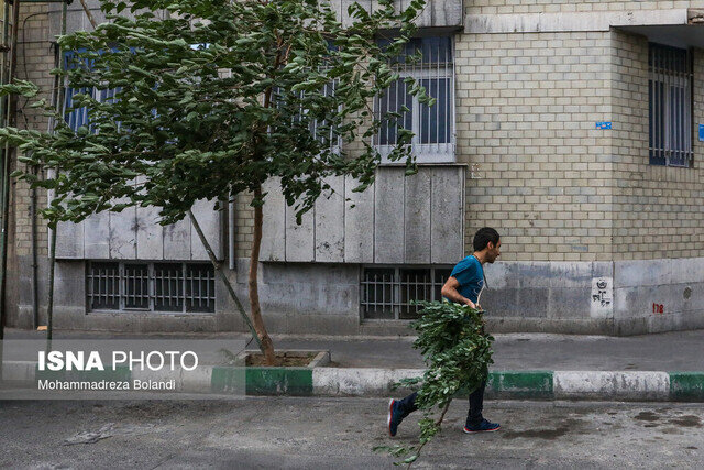 وزش باد عصرگاهی در تهران/ احتمال خیزش گرد و خاک در برخی نقاط وزش باد عصرگاهی در تهران/ احتمال خیزش گرد و خاک در برخی نقاط
