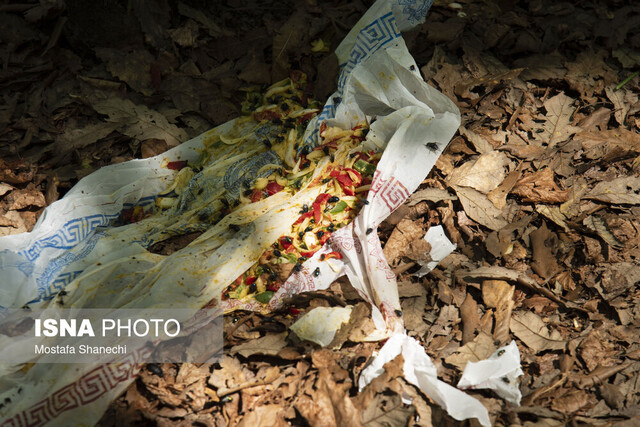 حفظ محیط زیست از ارتقای فرهنگ عمومی حاصل میشود