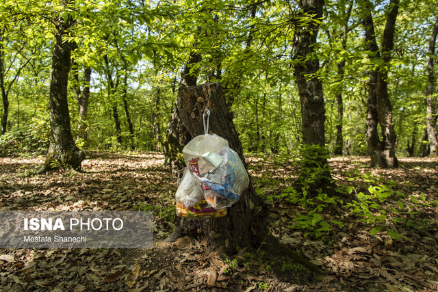 «سیزده بدر»، از جشن طبیعت تا چالشهای زیستمحیطی