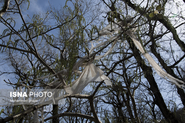 چقدر به فرهنگ «زمیندوستی» فکر میکنید؟