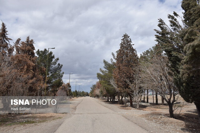 تشنگی در جوار سد، حال و روز سالهای اخیر بوستان ۱۵ خرداد دلیجان