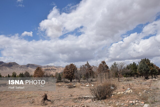 تشنگی در جوار سد، حال و روز سالهای اخیر بوستان ۱۵ خرداد دلیجان