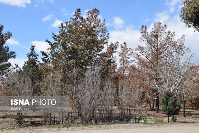 تشنگی در جوار سد، حال و روز سالهای اخیر بوستان ۱۵ خرداد دلیجان
