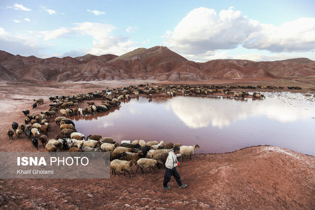 عکس ماه - فروردین ۱۴۰۳