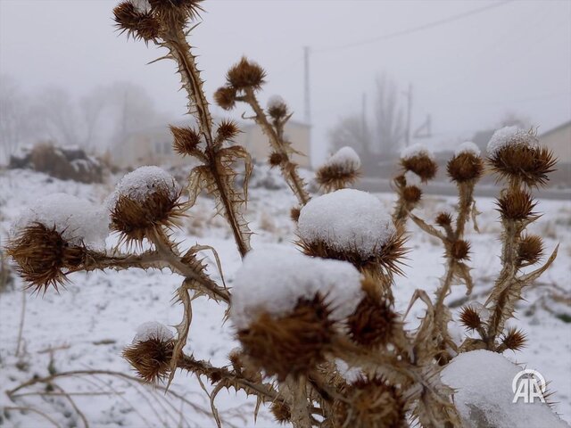 بارش برف بهاری در ترکیه + عکس