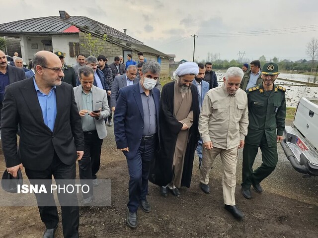 زمینهای کشاورزی گیلان حفظ شود + تصاویر