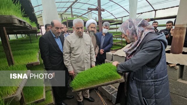 زمینهای کشاورزی گیلان حفظ شود + تصاویر