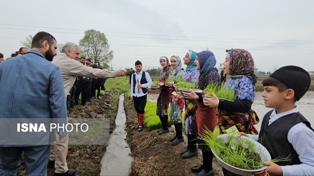 زمینهای کشاورزی گیلان حفظ شود + تصاویر