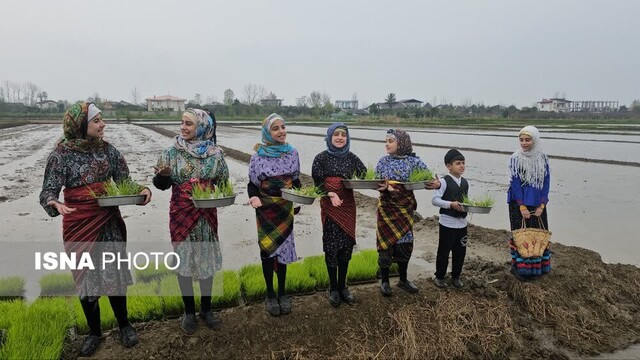 زمینهای کشاورزی گیلان حفظ شود + تصاویر