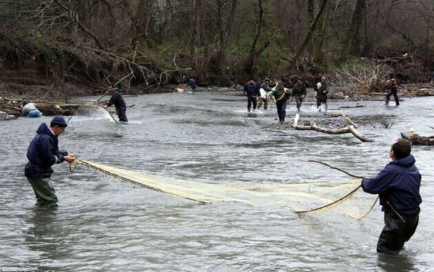 سفیدرود از دام های غیرمجاز پاکسازی میشود
