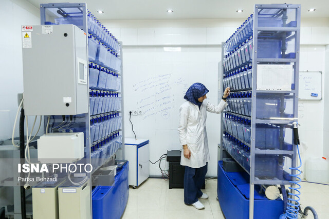 سیر صعودی دیابت در ایران / هوش مصنوعی به کمک درمان میآید؟