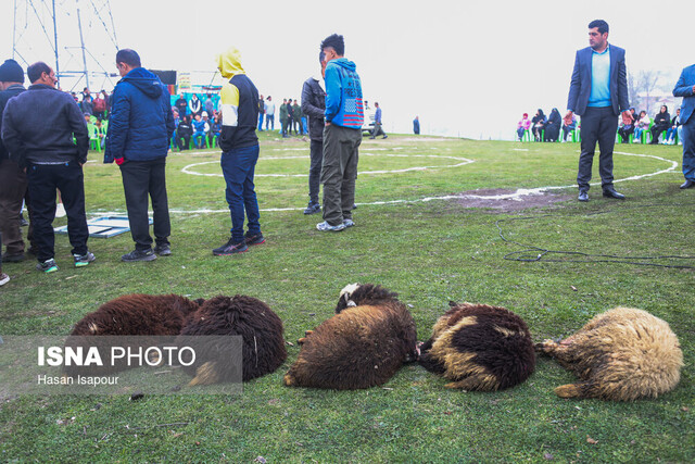 ۲۶ عیدماه و آیین سنتی مذهبی داوت و ورزش لوچو در شیخ موسی بندپی بابل