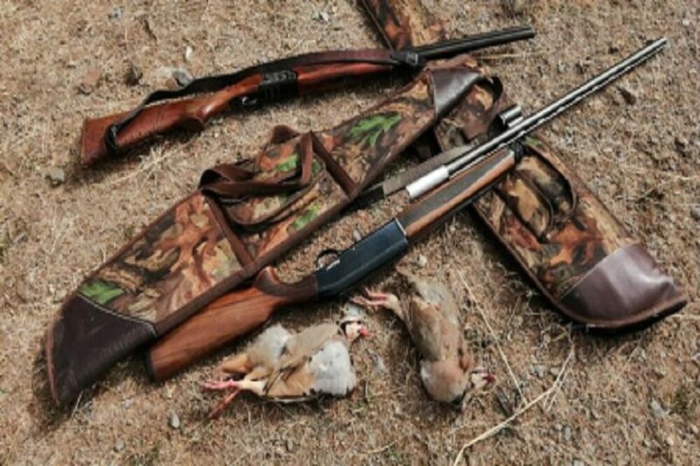 شکارچی کل وحشی در کامیاران به ۷۵۰ میلیون ریال جریمه شد