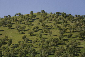 طبیعت بهاری لرستان