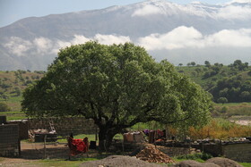 طبیعت بهاری لرستان