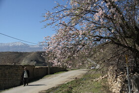 طبیعت بهاری لرستان