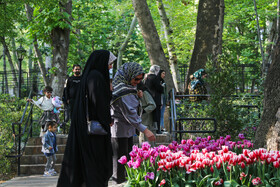 فصل لاله ها در بوستان باغ ایرانی