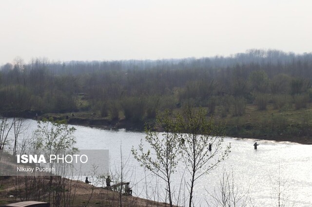 مصائب سفیدرود؛ از صید غیر مجاز تا آلودگی +تصاویر